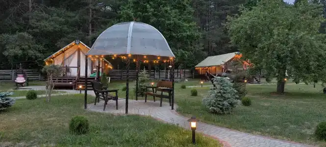 Магия леса в Беловежской пуще - 182