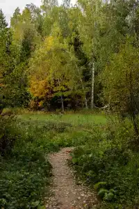 Глушь - 13