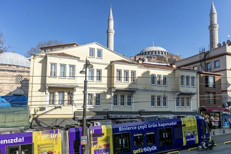 Elasophia - 6