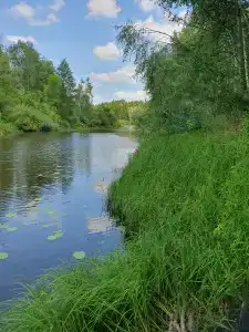 Зеленый луг - 6