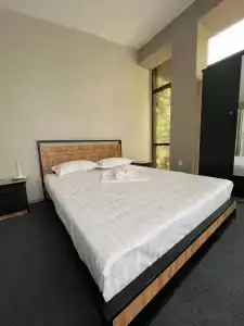 Nari - 2
