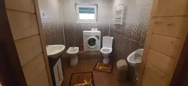 Сосны - 4