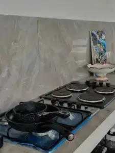 Акация - 5
