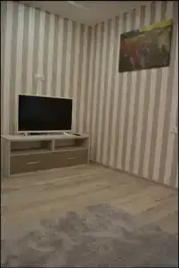 Винсент - 15