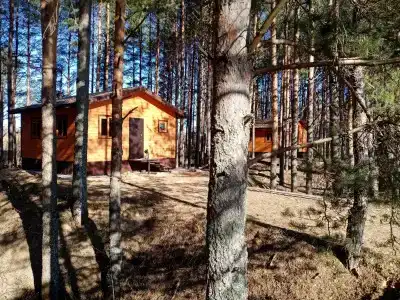 Глэмпинг Мыльцевка - 0