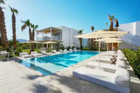 Flamm - 0