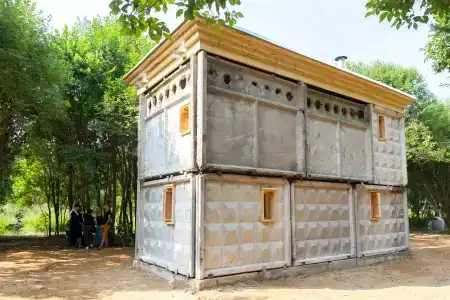 Клевер - 155