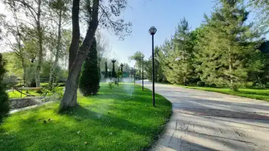 Daler - 25