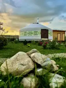 Дикая земля - 0