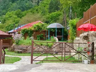 Old Borjomi - 32
