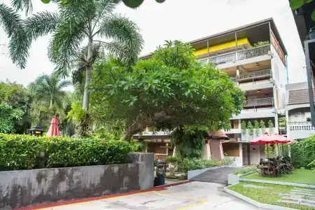 Lantana - 56