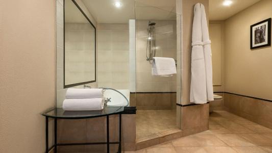 Hyatt Regency - 41