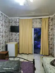 Две Пальмы - 18