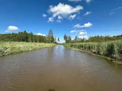 Бобровый берег - 37
