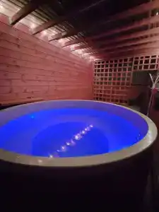 Проксима - 11