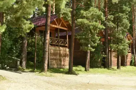 Сердце Алтая - 3