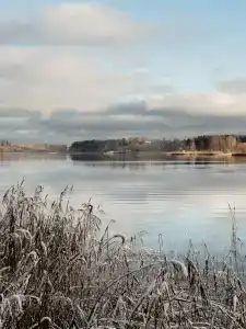 Берег желаний - 50