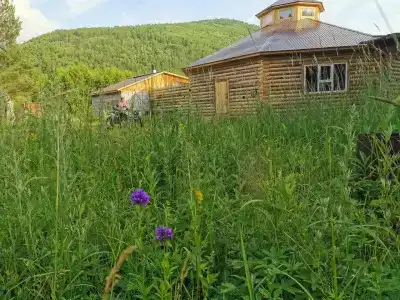 Хозяин тайги - 9