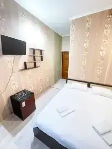 Калатея - 0