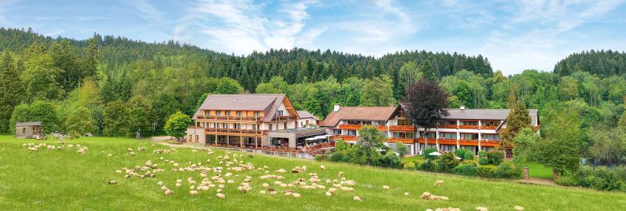 Grüner Wald - 1