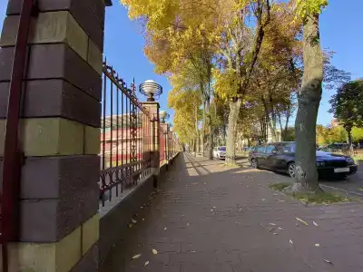 5 колец - 4