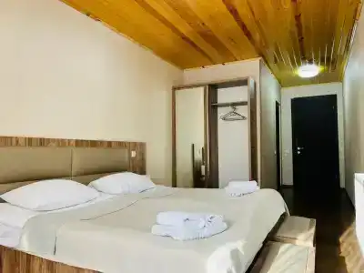 Shgedi Mestia - 3