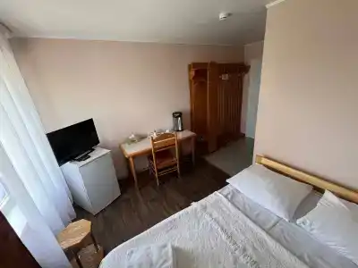 Новый лес - 32