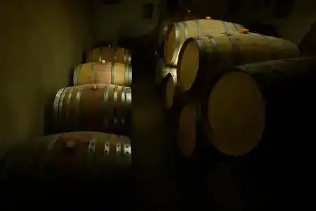 Areni Wine Art - 11