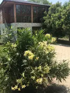 Villa Apsua - 28