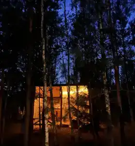 Звездный лес - 15