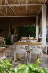 Costa Maya Bodrum - 18
