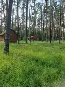 Зеленый луг - 2