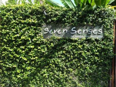 Seven Senses Guesthouse - 3