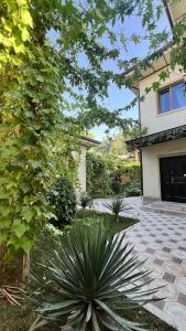 Zahid Inn - 32
