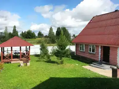 Васильки - 5