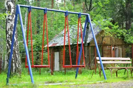 Шишки - 9