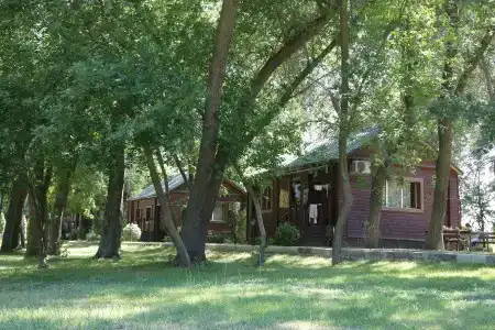 Дельта-Трофи - 16