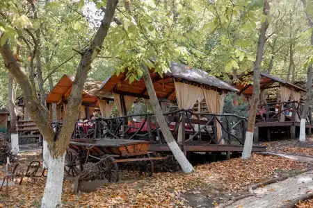 Poiana Bradului - 3