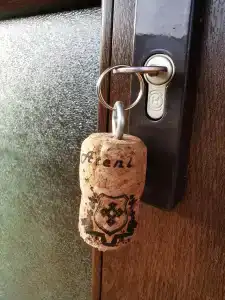 Замок Ioseb Vanishvili - 15