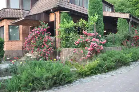 Эдельвейс - 3