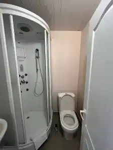 Новый лес - 29