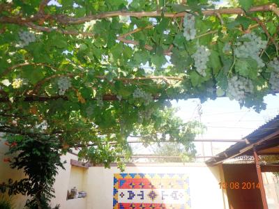 Artson B&B Vagharshapat - 3