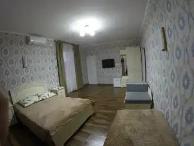 Алан - 10