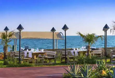 Club Mega Saray - 33