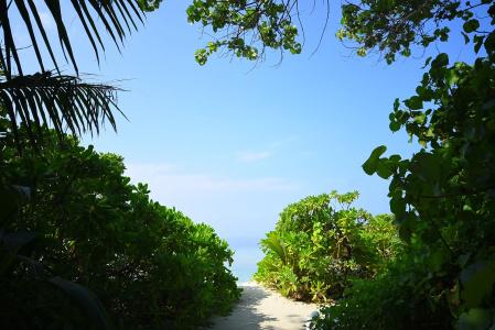 Beach Residence - 8