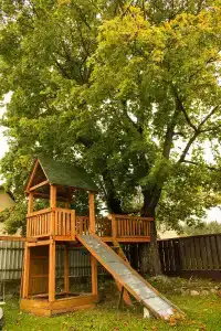 Боровики - 9