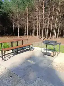 Forest Nest - 4