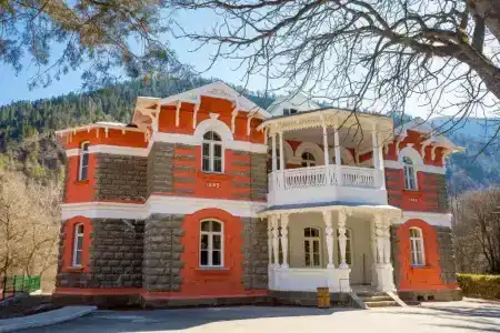 Borjomi Likani Health & Spa Centre - 20