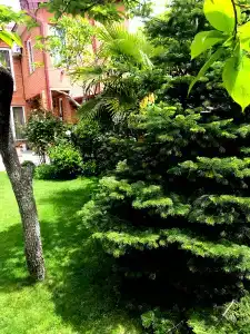 Green Garden - 22