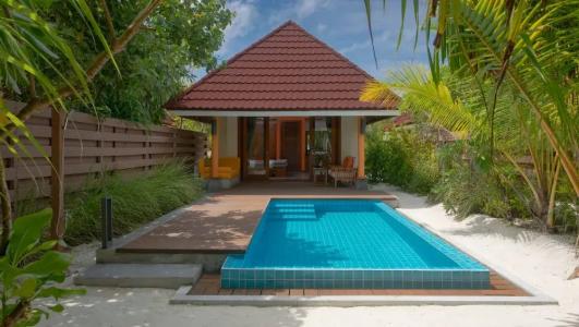 Dhigufaru Island Resort - 6